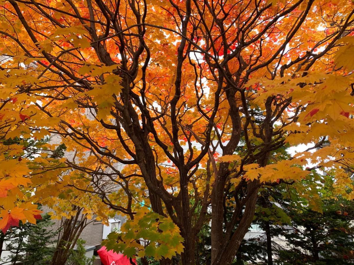 Hdo Sumikawa Villa Sapporo Exterior foto